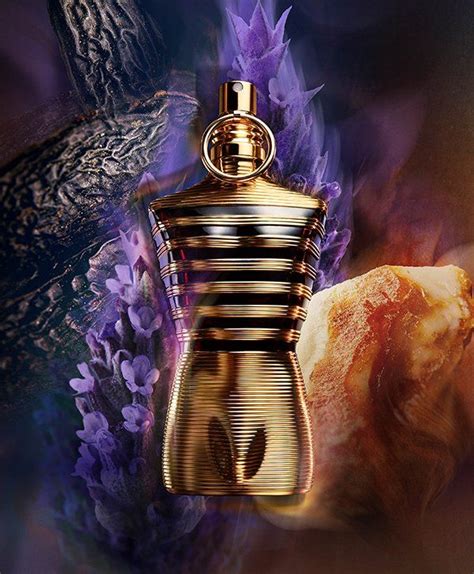 le male la parfum fragrantica